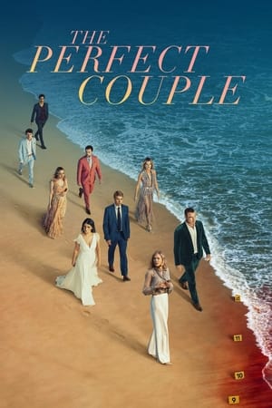 The Perfect Couple Season  1 online