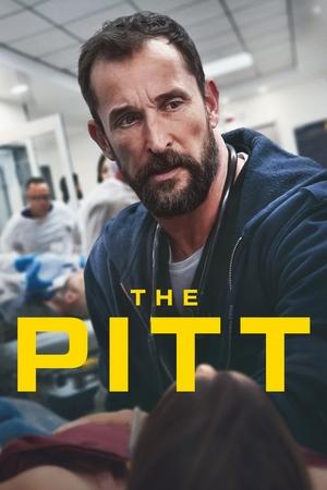 The Pitt Season  1 online