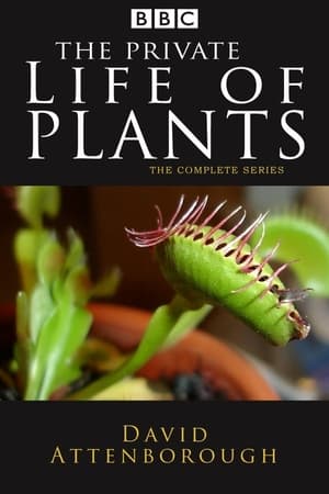 The Private Life of Plants Season  0 online