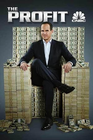 Ver Serie The Profit