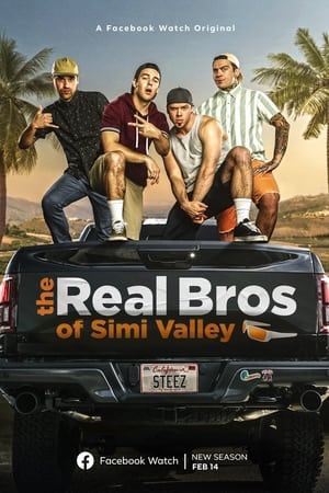 The Real Bros of Simi Valley Season  1 online