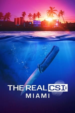 The Real CSI: Miami online free