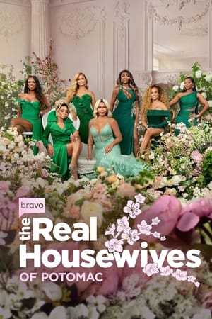 The Real Housewives of Potomac Season  9 online