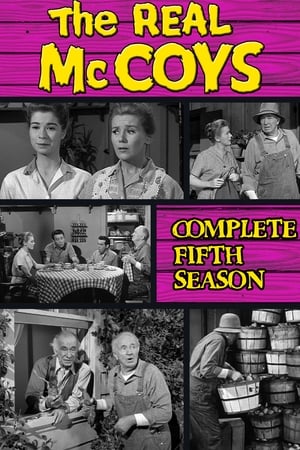 The Real McCoys Season  5 online