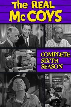 The Real McCoys Season  6 online