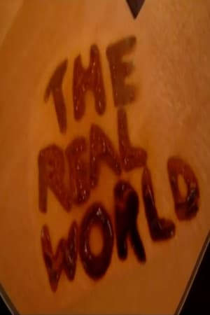 The Real World Season  16 online