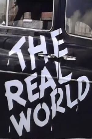 The Real World T 4 C 2 online gratis