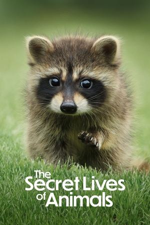 The Secret Lives of Animals online free