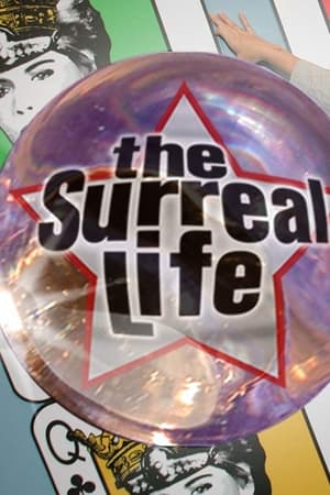 The Surreal Life Season  1 online