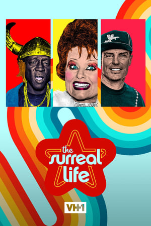 The Surreal Life Season  6 online