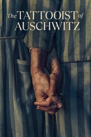 The Tattooist of Auschwitz Season  1 online