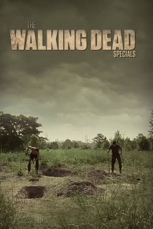 The Walking Dead Season  0 online