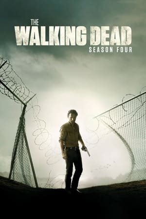 The Walking Dead T 4 C 15 online gratis