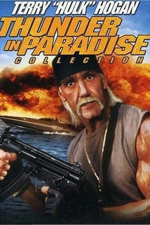 Thunder in Paradise Season  1 online