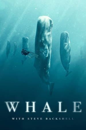 Whale with Steve Backshall Season  1 online