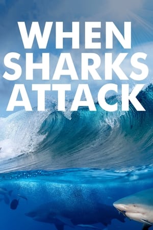 When Sharks Attack Season  2 online