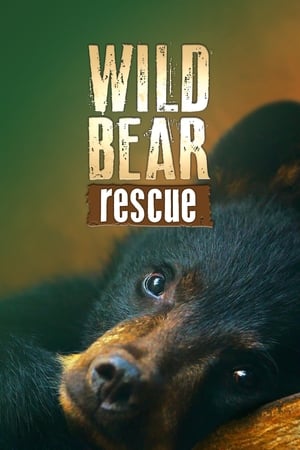 Wild Bear Rescue Season 1 online free