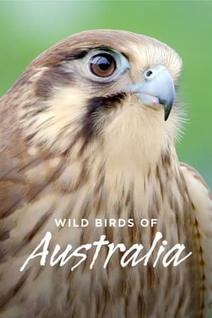 Wild Birds of Australia online free