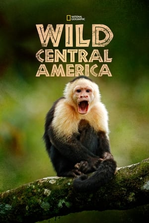 Wild Central America online free