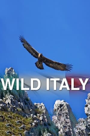 Wild Italy Season  1 online