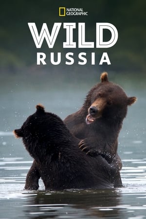 Wild Russia Season  1 online