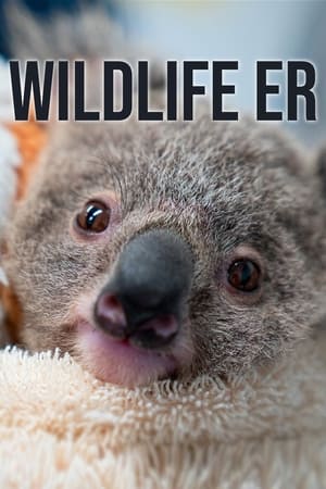 Wildlife ER T 2 C 3 online gratis