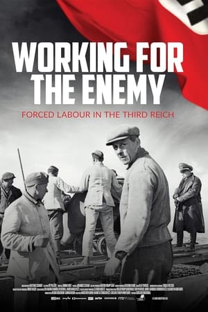 Working for the Enemy: Forced Labour in the Third Reich Online free