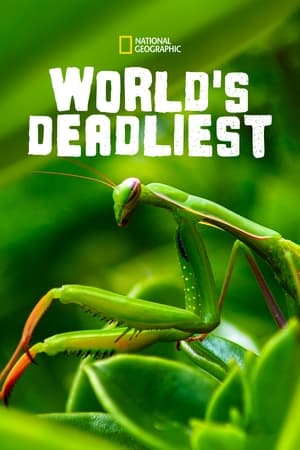 World's Deadliest Season  3 online